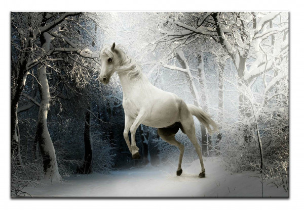 Leinwandbild Wandbild Tiere Pferd Natur