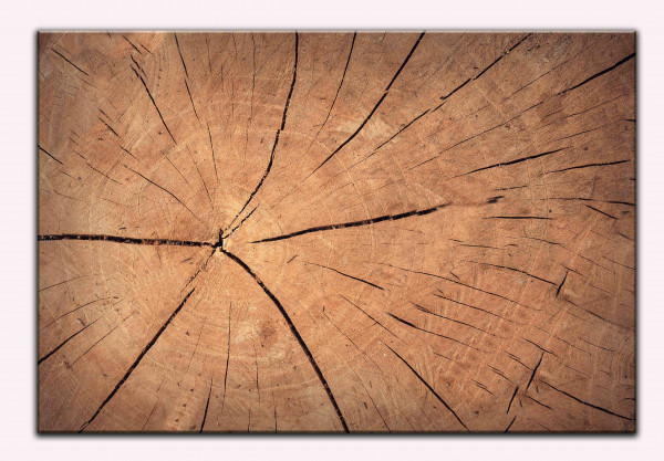 Leinwandbild Wandbild Abstrakt Holz Hintergrund