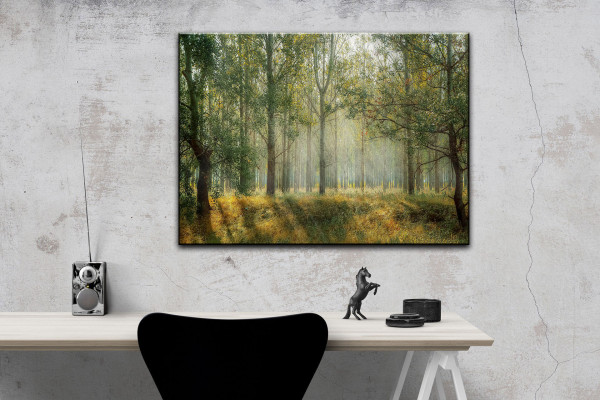 Leinwandbild Wandbild Wald Bäume Sonnenstrahlen