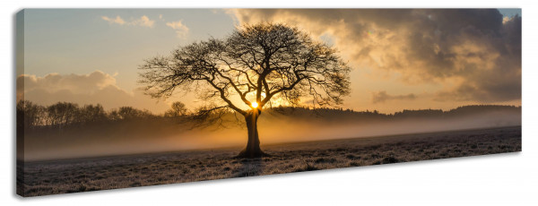 Leinwandbild Wandbild Panorama Baum Wolken Sonnenuntergang