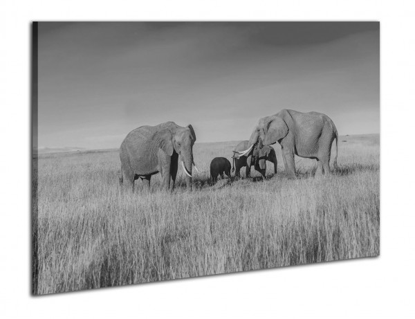 Leinwandbild Wandbild Afrika Safari Elefanten Landschaften Schwarzweiß