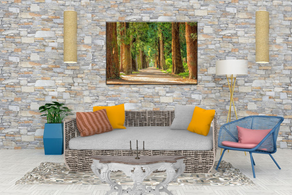 Leinwandbild Wandbild Wald Bäume