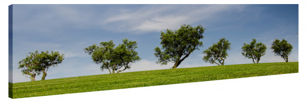 Leinwandbild Wandbild Panorama Bäume Wolken