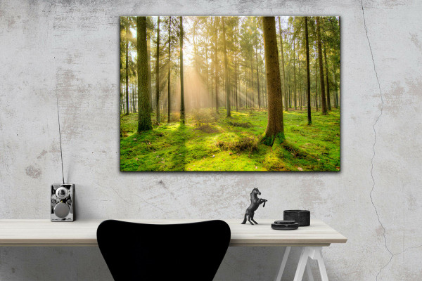 Leinwandbild Wandbild Wald Bäume Sonnenuntergang Natur
