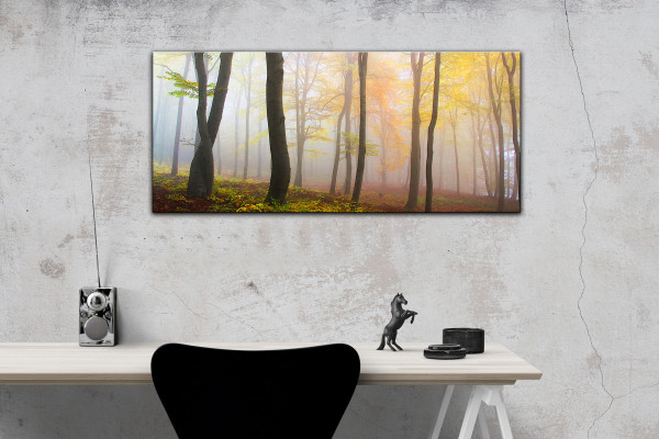 Leinwandbild Wandbild Panorama Herbst Wald Baume Natur