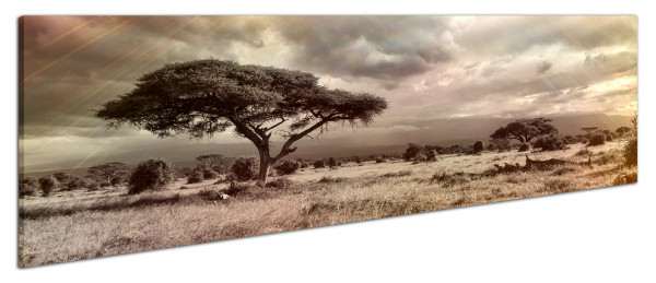 Leinwandbild Wandbild Panorama Afrika Safari Baum Wolken