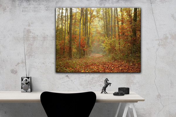 Leinwandbild Wandbild Herbst Wald Bäume Natur