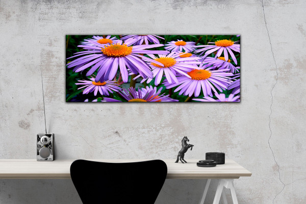 Leinwandbild Wandbild Panorama Pflanze Blume