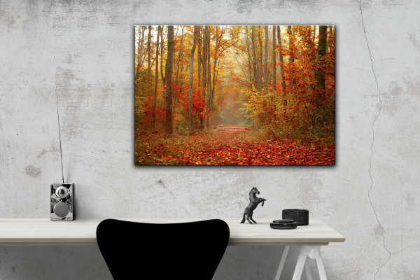 Leinwandbild Wandbild Herbst Wald Bäume Natur