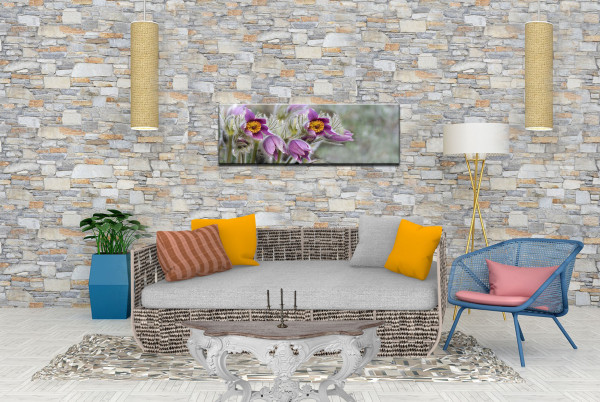 Leinwandbild Wandbild Blume Pflanze Kuhschelle