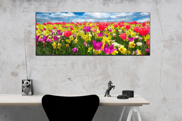 Leinwandbild Wandbild Panorama Frühling Wolken Tulpen