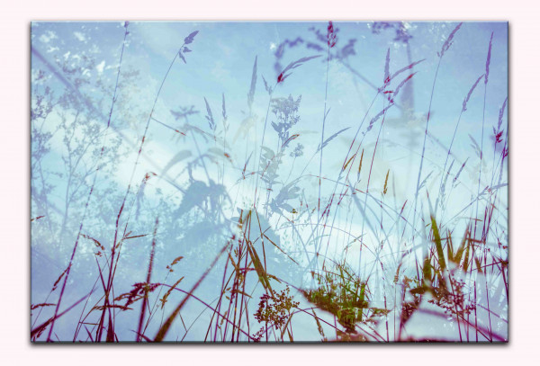 Leinwandbild Wandbild Abstrakt Pflanze