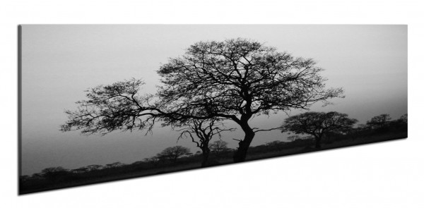 Leinwandbild Wandbild Panorama Afrika Safari Baum Sonnenuntergang Schwarz-weiß