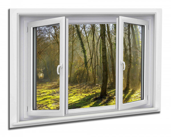 Leinwandbild Wandbild Fensterblick Herbst Wald Bäume Landschaft