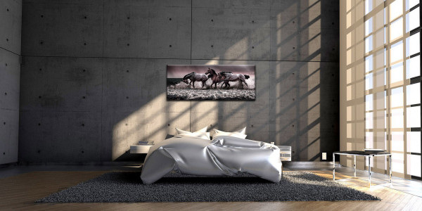 Leinwandbild Wandbild Pferde Tiere Meer Natur