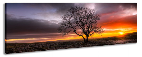 Leinwandbild Wandbild Panorama Baum Wolken Sonnenuntergang