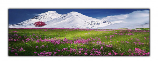 Leinwandbild Wandbild Panorama Baum Wolke Natur