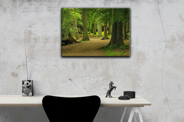Leinwandbild Wandbild Wald Bäume