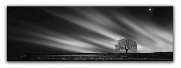 Leinwandbild Wandbild Panorama Baum Wolke Natur