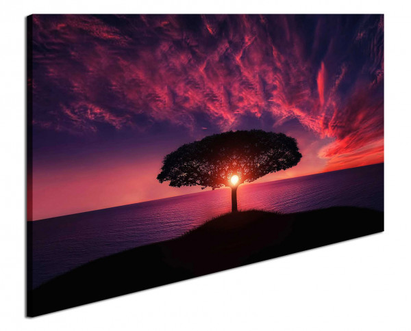 Leinwandbild Wandbild See Baum Sonnenuntergang
