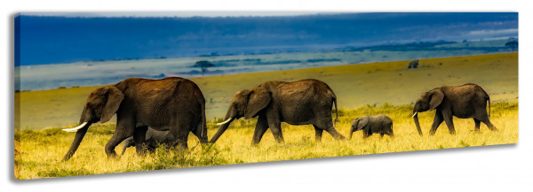 Leinwandbild Wandbild Panorama Afrika Safari Elefanten