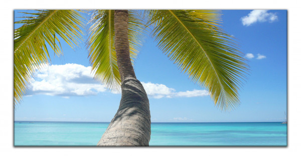 Wandbild Alu-Dibond Meer Palmen Landschaft