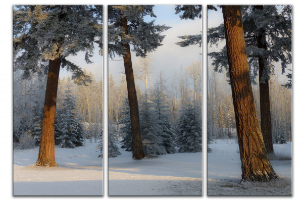 Leinwandbild Wandbild Mehrteilig Winter Bäume Wald Winterlandschaft