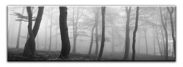 Leinwandbild Wandbild Panorama Herbst Wald Baume Natur Schwarzweiß