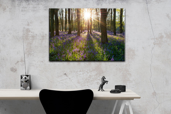 Leinwandbild Wandbild Frühling Wald Bäume