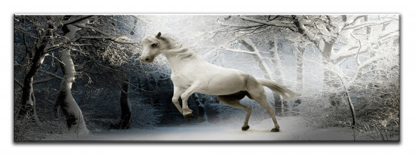 Leinwandbild Wandbild Panorama Tiere Pferd