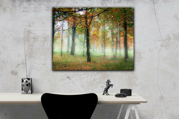 Leinwandbild Wandbild Herbst Wald Bäume Natur