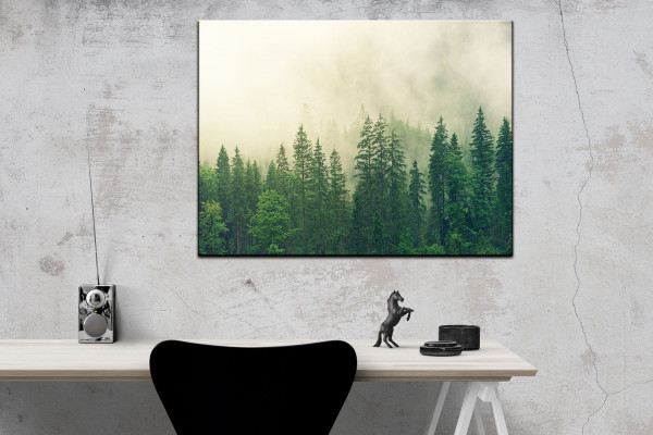 Leinwandbild Wandbild Bäume Nebel Natur